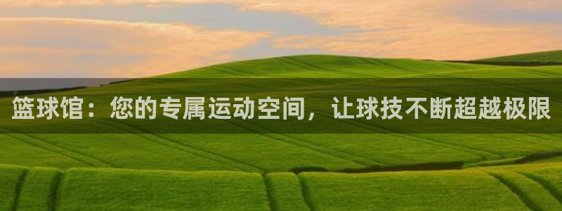 极速体育足球：篮球馆：您的专属运动空间，让球技不断超越极限