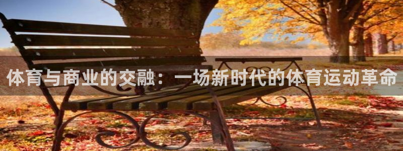 极速体育手机版：体育与商业的交融：一场新时代的体育运动革命