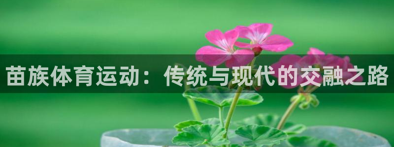 nba免费极速体育：苗族体育运动：传统与现代的交融之路